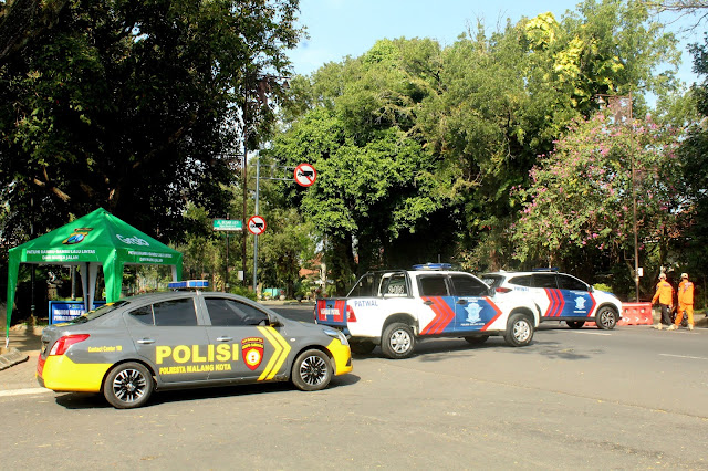 NOTES FROM NEXT DOOR: LOCKDOWN LITE