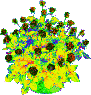 13621495844261%2B%25282%2529.gif