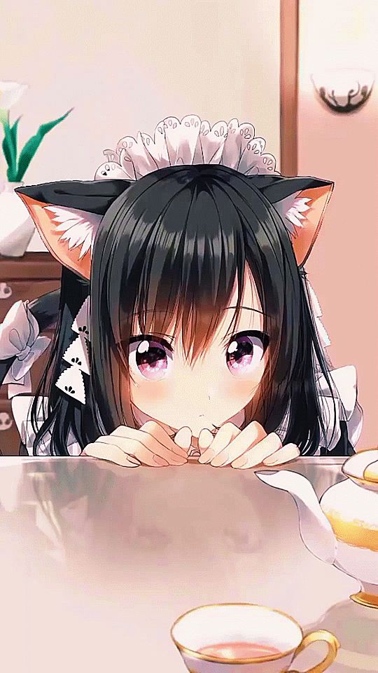 cute anime cat girl gif