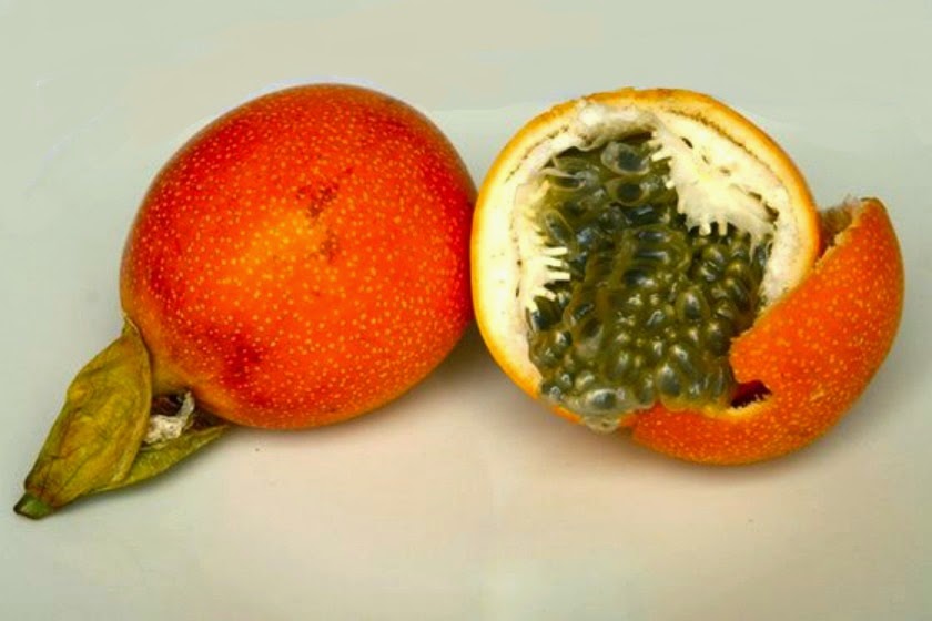 Оранжевый фрукт похожий