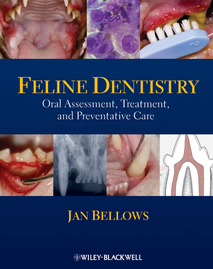 Feline Dentistry :Oral Assessment, Treatment, and Preventative Care