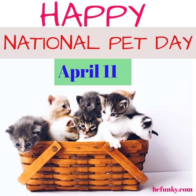 Pet Happy Day Wish Images Quotes Etc.,