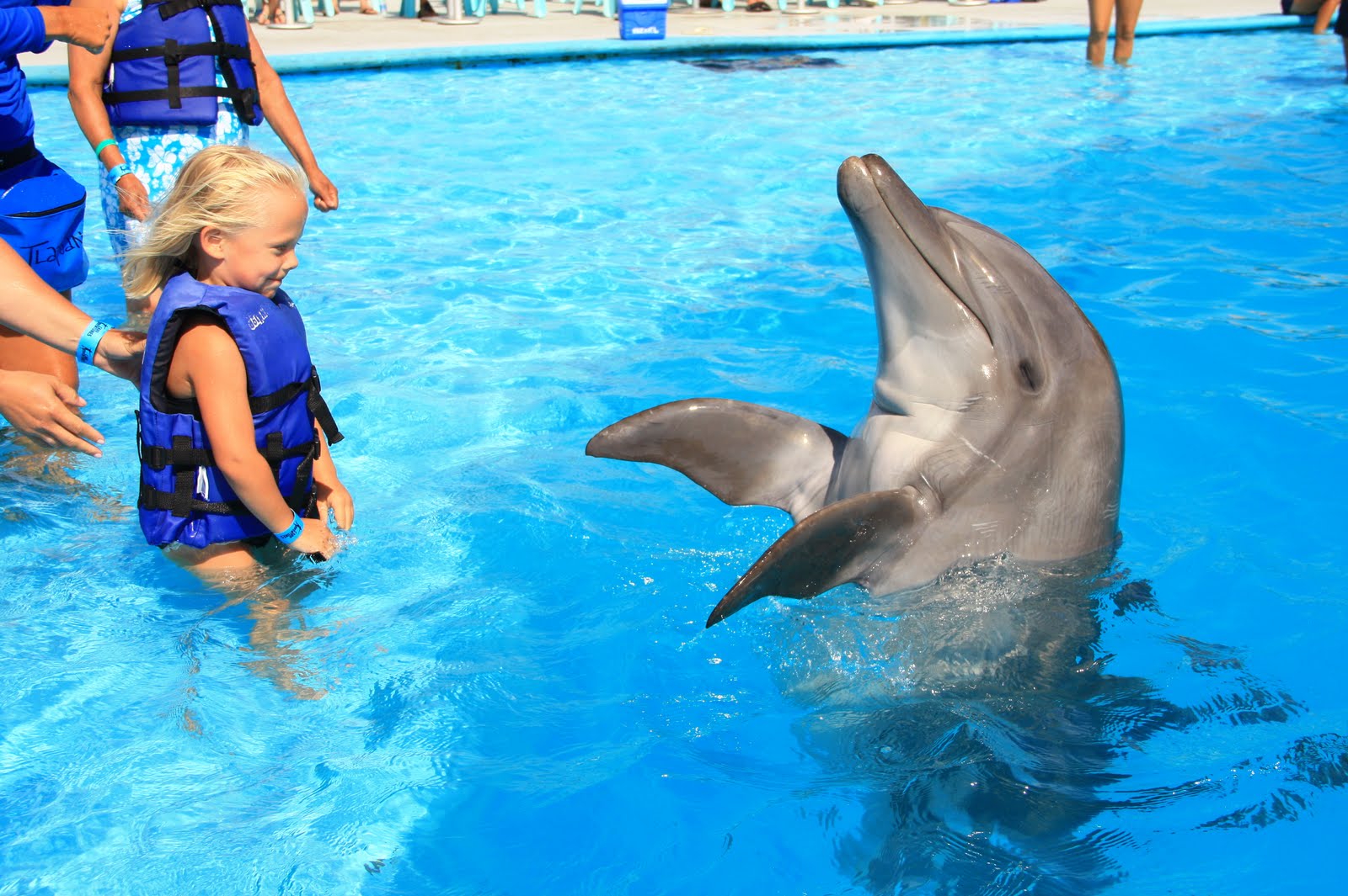 The Gidley Girls Swimming with Dolphins