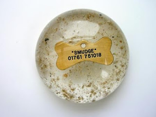Ashes and pet dog tag paperweight