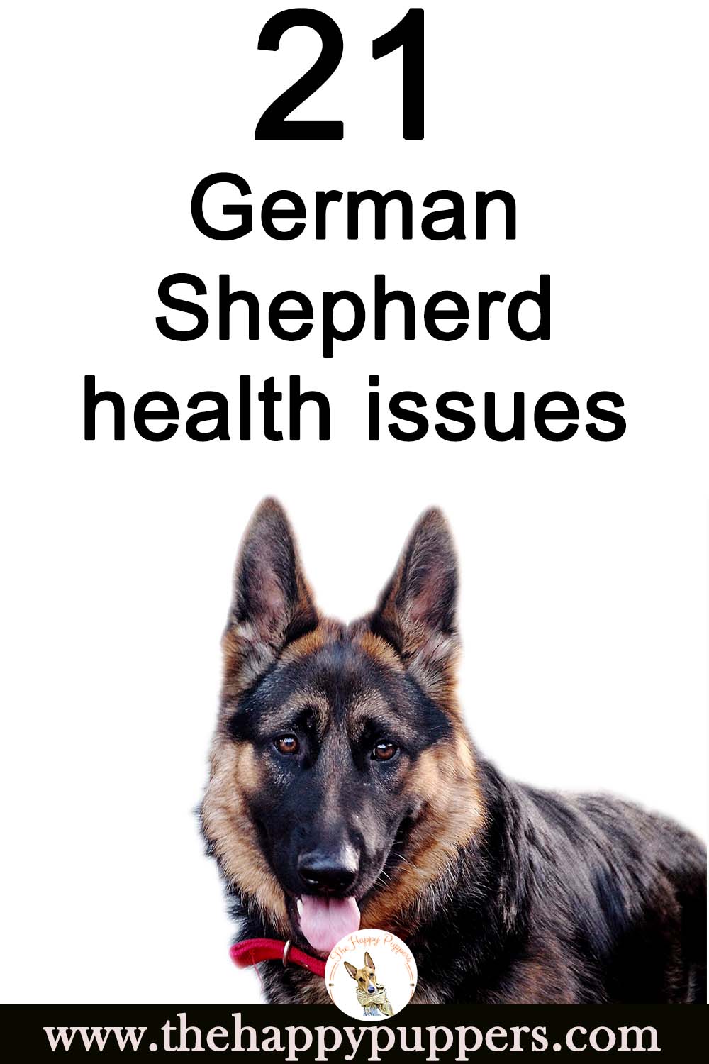 Potential German Shepherd health issues