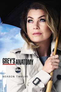 Grey's Anatomy Poster