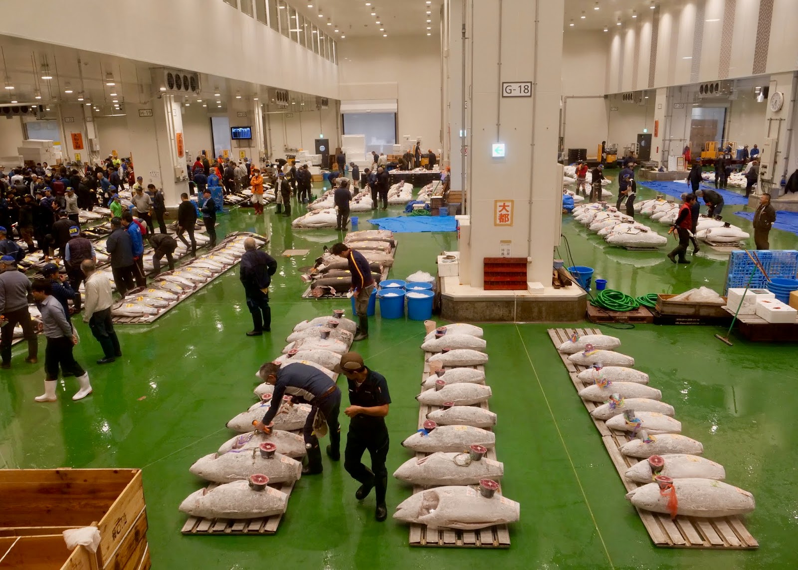Visual Anthropology of Japan 日本映像人類学 The New Toyosu Fish Market in