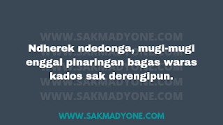 15 Kata kata semoga lekas sembuh Bahasa Jawa  Sakmadyone.com