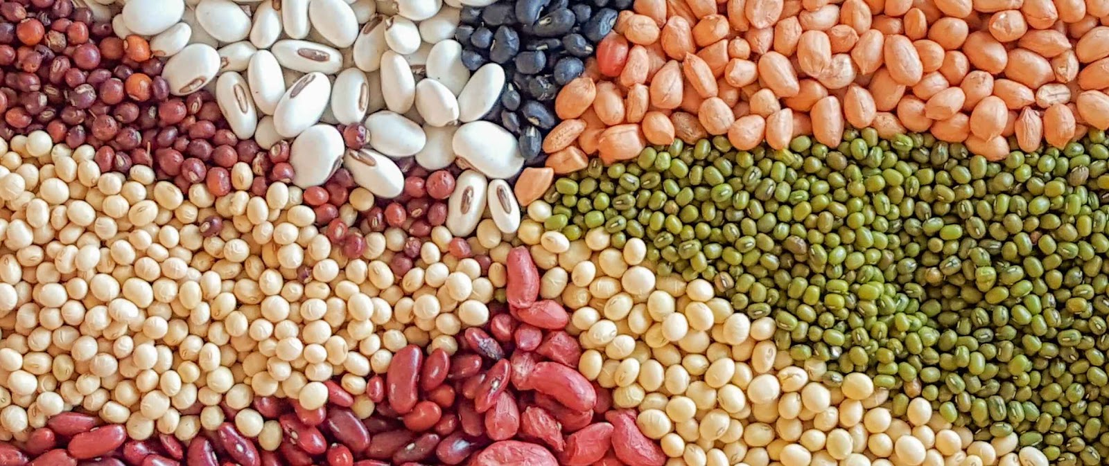 Dieta Low Carb & Jejum Intermitente - Blog: Pode comer feijão na Dieta