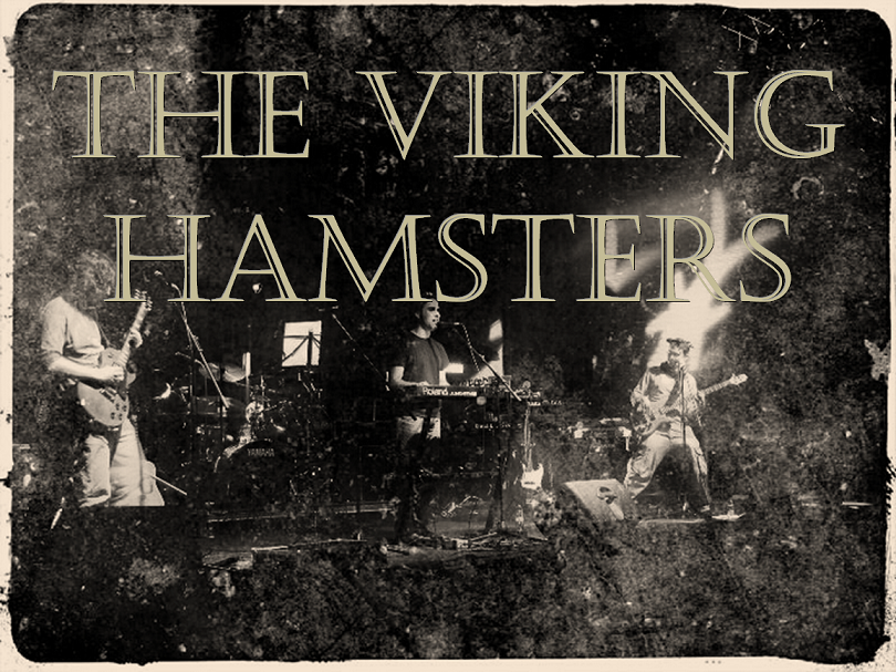 <center>The Viking Hamsters</center>