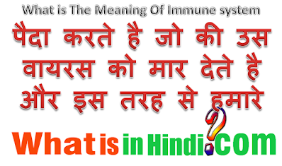 What is the meaning of Immune system in Hindi