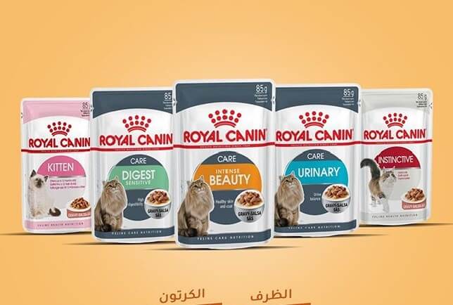ماذا تاكل القطط