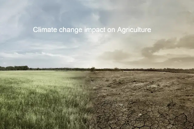 Climate change impact on agriculture