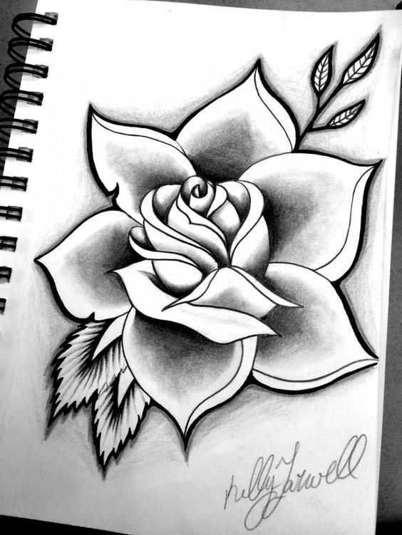 24 Chidas Imagenes De Rosas Para Dibujar Faciles Chidas Imagenes De