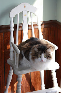 Not All Write: The High Chair