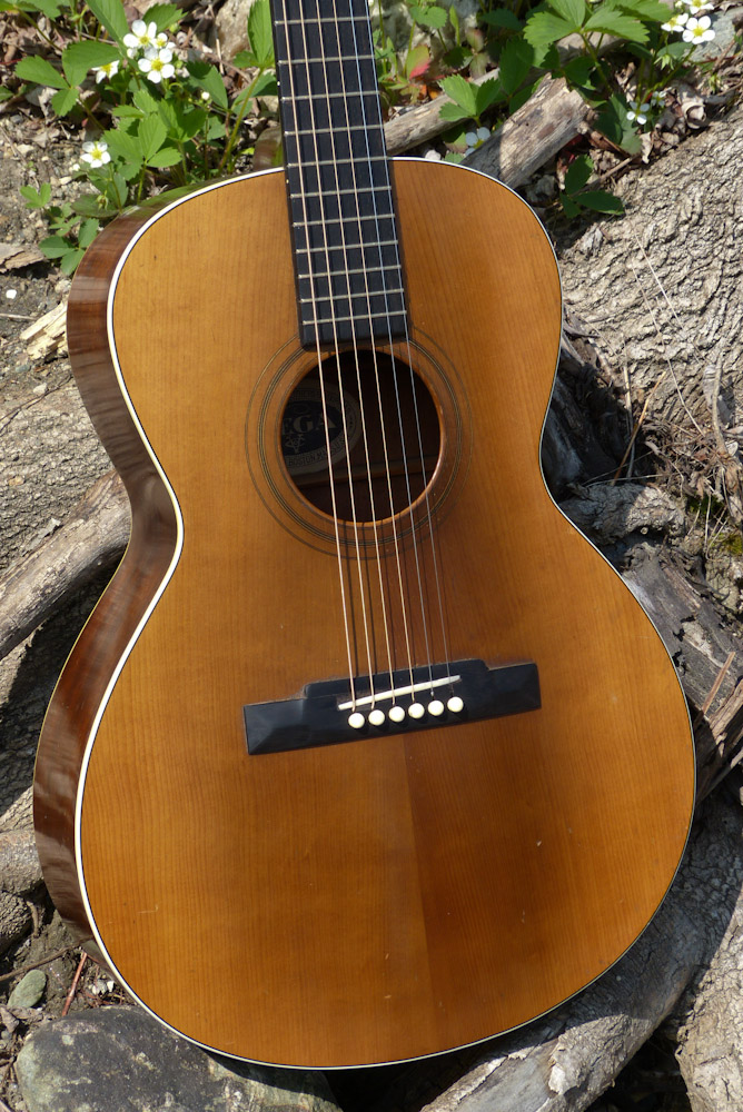 Vega Guitars Serial Numbers