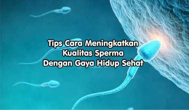 Meningkatkan Kualitas Sperma Dengan Gaya Hidup Sehat