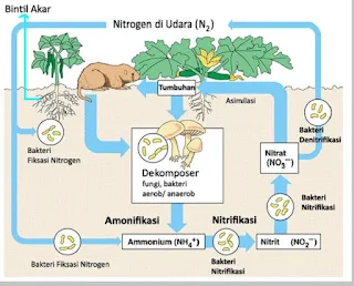 Bioteknologi di bidang pertanian