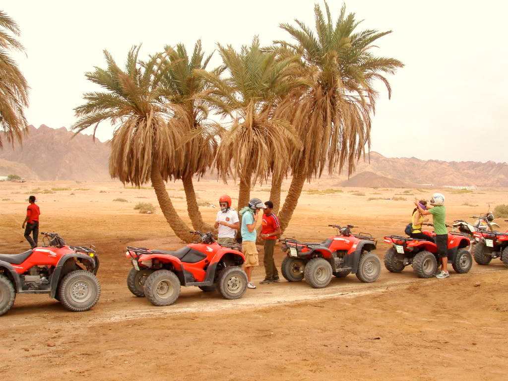 desert safari in dubai: Best Desert Safari Tours in Dubai