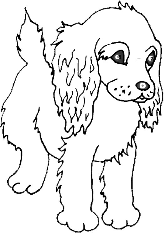 Tranh tô màu chú chó có bộ lông tai dài