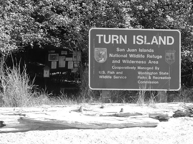 Turn Island washington