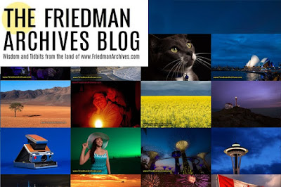 The Friedman Archives Blog