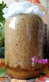 molho de soja ou shoyu artesanal