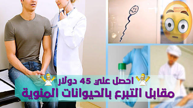 700 جنية مصري مقابل التبرع بالحيوانات المنوية