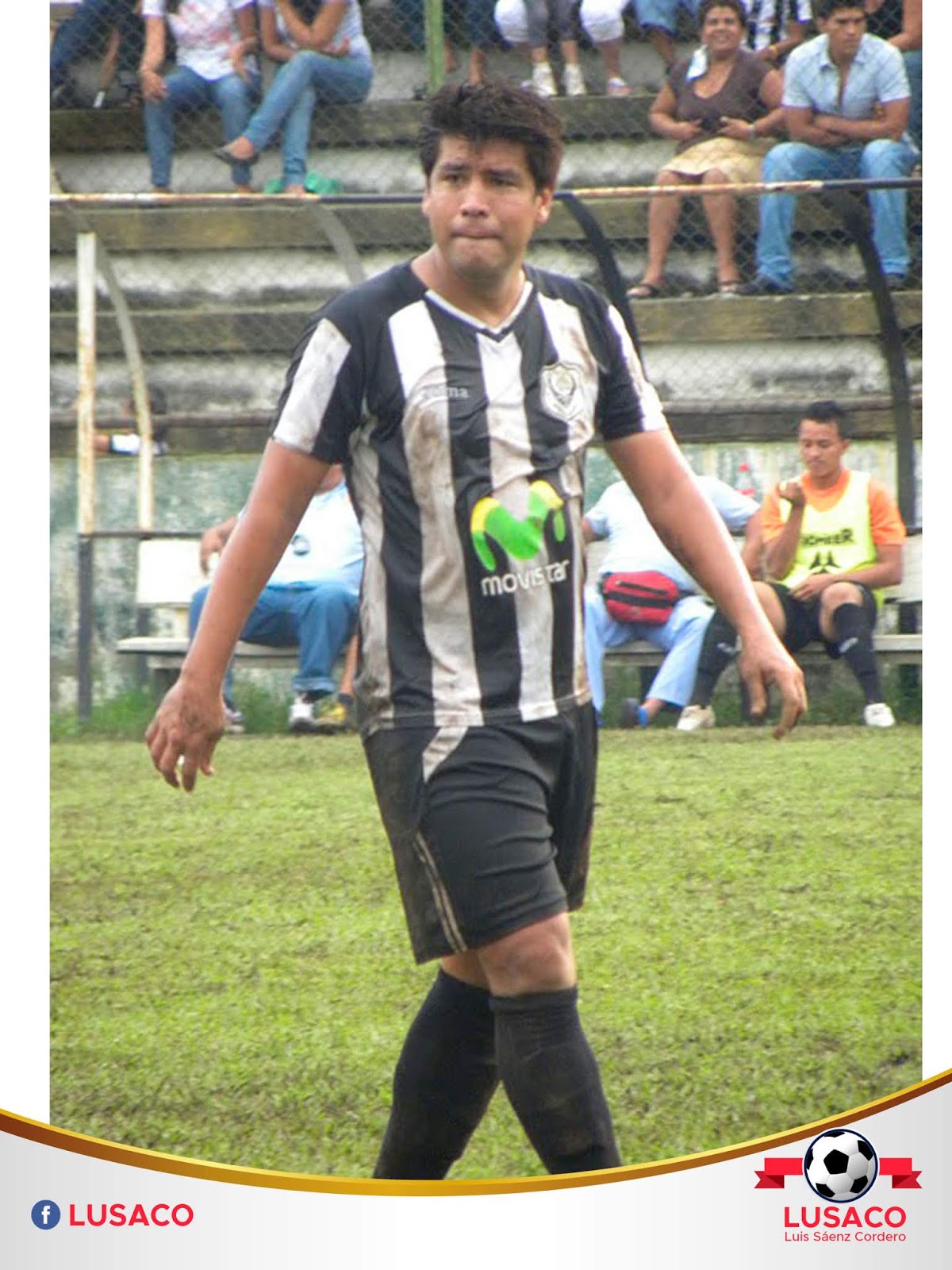 El Blog de LUSACO FR Nº 40 Carlos Alonso.