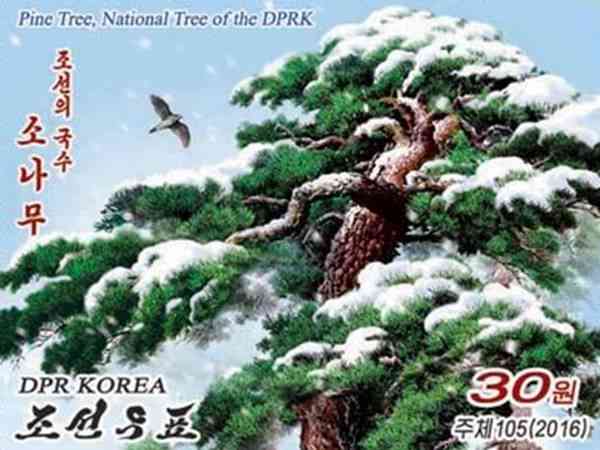 sprk stamp pine tree
