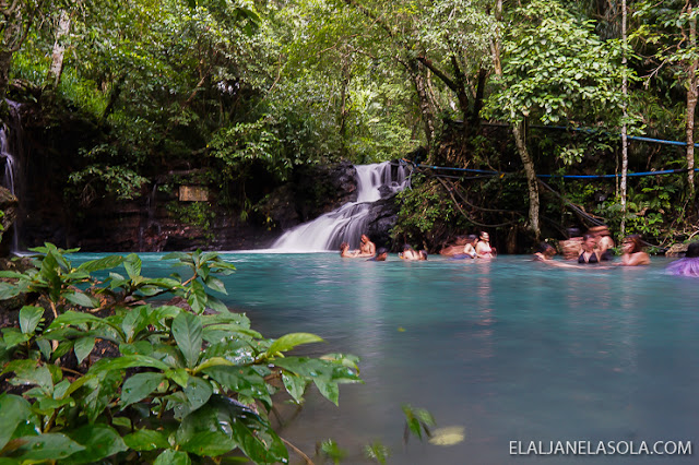 Coron | Calauit Safari Park & Pamalican Island (Natural Arts Travel and Tour) Palawan