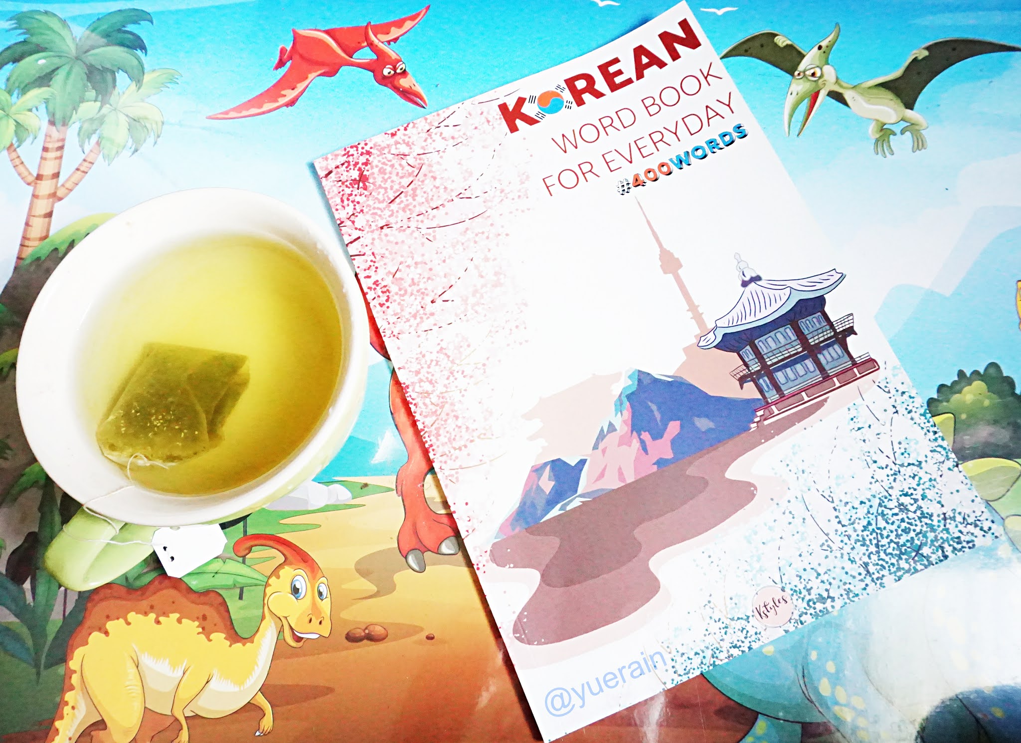 GREAT SKINandLIFE REVIEW ON KSTYLES KOREAN WORD BOOK FOR EVERYDAY 400WORDS