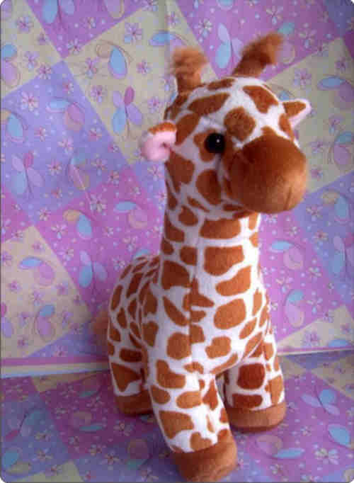 Animals Plants Rainforest Miniature Giraffe Sample Picture