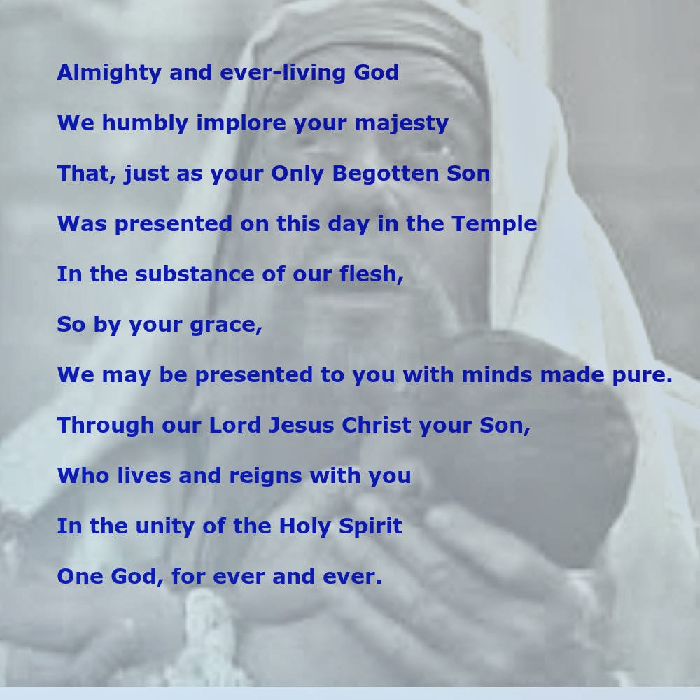 Daily Homilies: Feast of the Presentation of the Lord
