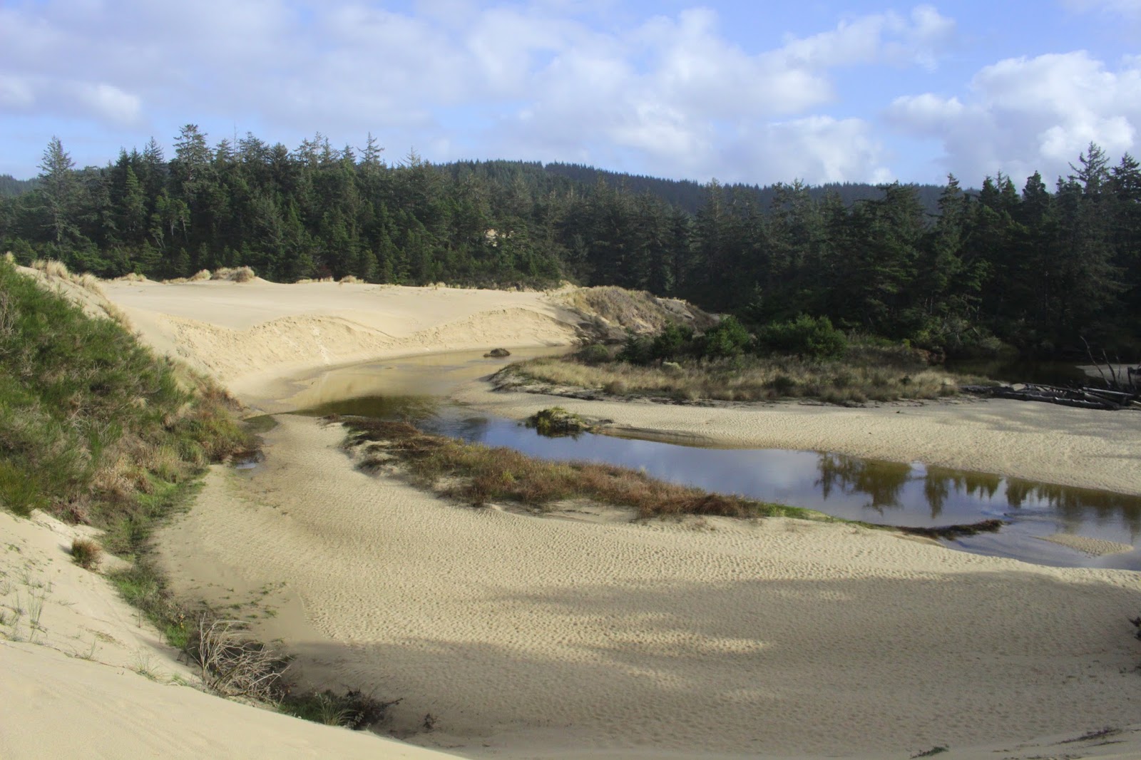 Richard Hikes: Oregon Dunes