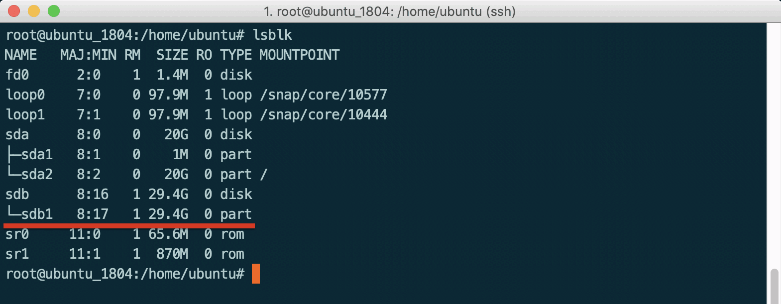 Linux lsblk 查看USB