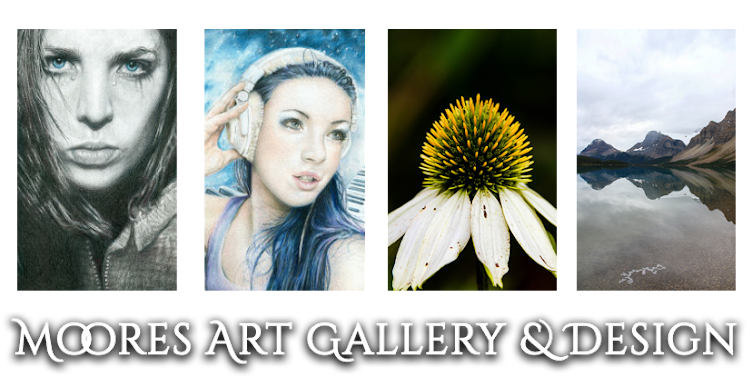 Moores Art Gallery & Design Blog