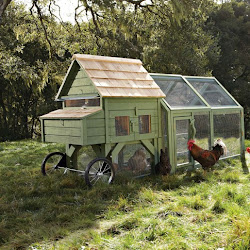 chicken march sonoma coops williams source