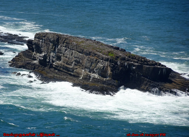 Gull Rock Oregon