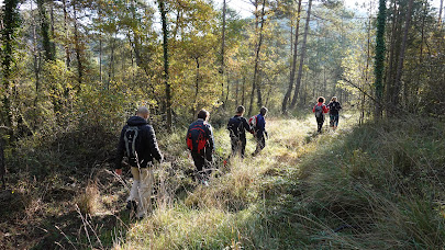 GR3: Caraüll - Moià