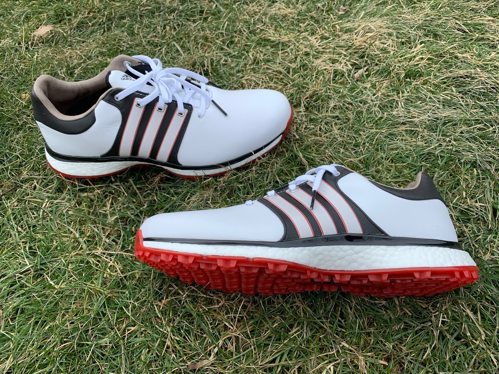 adidas spikeless golf shoes 2019