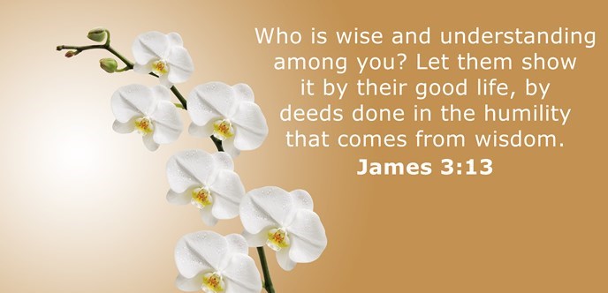James 3 13 Daily Devotionals James 3 13 Daily Devotionals