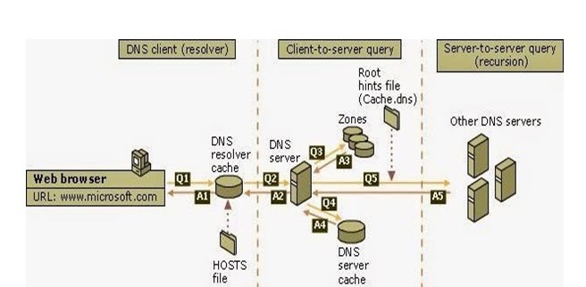 Mengevaluasi Dan Mengkonfigurasi Dns Server Jaringan Lan Soal Latihan Damankom