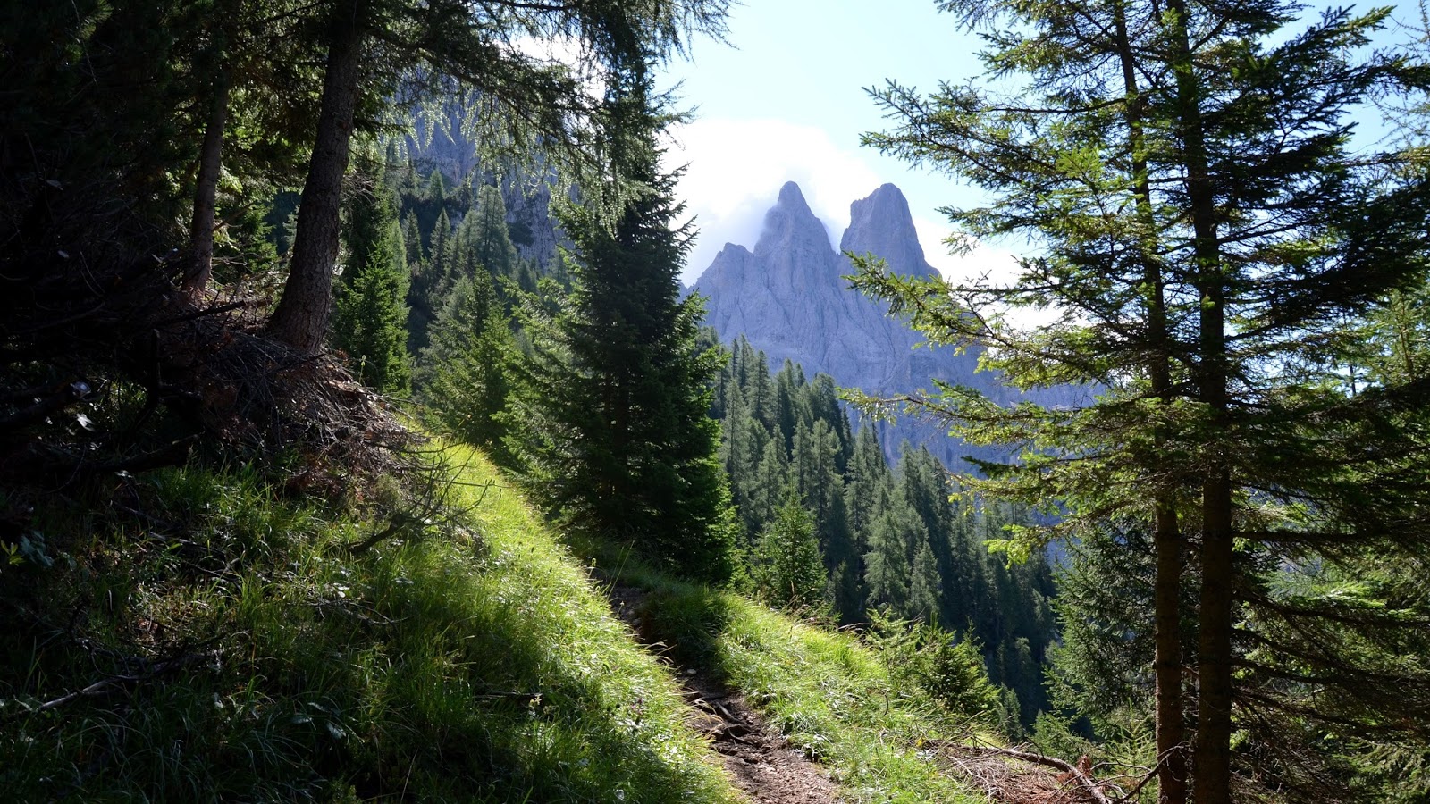 Cosa fare se ci si perde in montagna o in un bosco