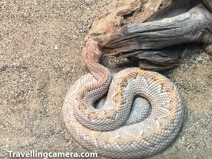 Lincoln Park Zoo, Chicago One of the few Zoos in the world with Free Entry