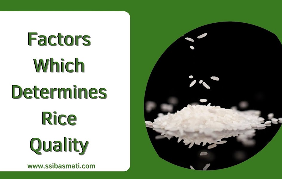 Top 10 Basmati Rice Companies In India top-10-basmati-rice-companies-in-india