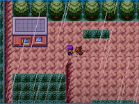 Pokemon Mountain Trials Screenshot 04