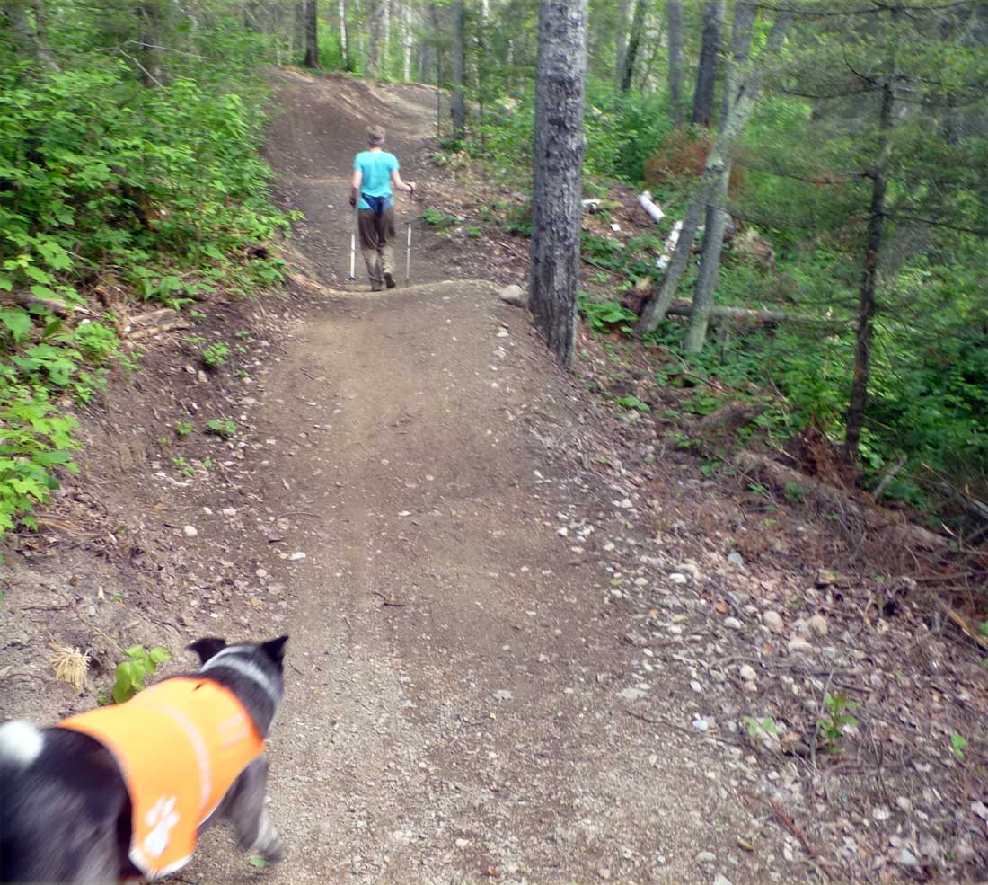 The Trail Mutt Reports Ely, MN day II and home