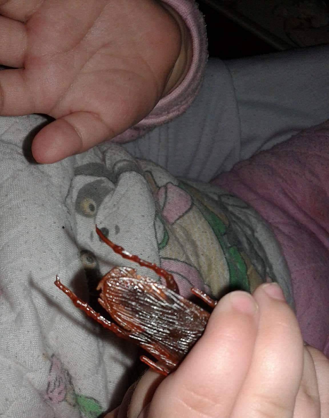 بنتي بتاكل الصراصير والدبان اي شي وبتعض شباش أريد حلا