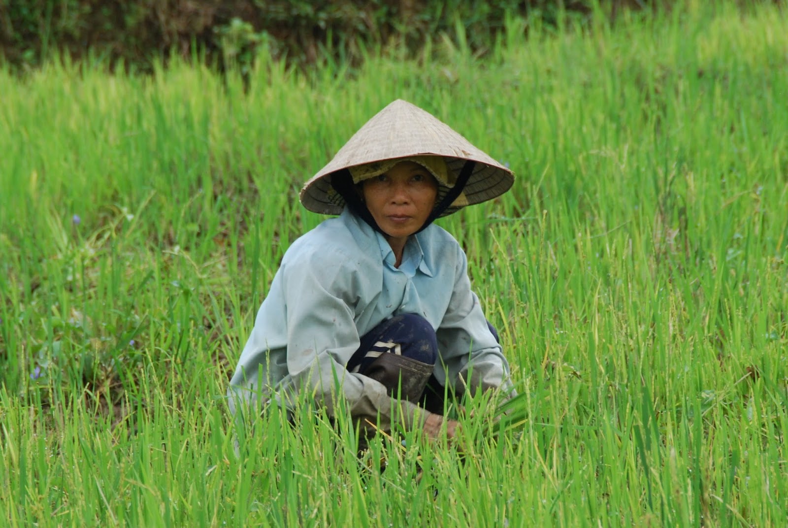 Nòn-Là il tipico copricapo Vietnamita.